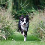 From Couch to 5k: How to Start Running for Weight Loss From Couch to 5k: How to Start Running for Weight Loss