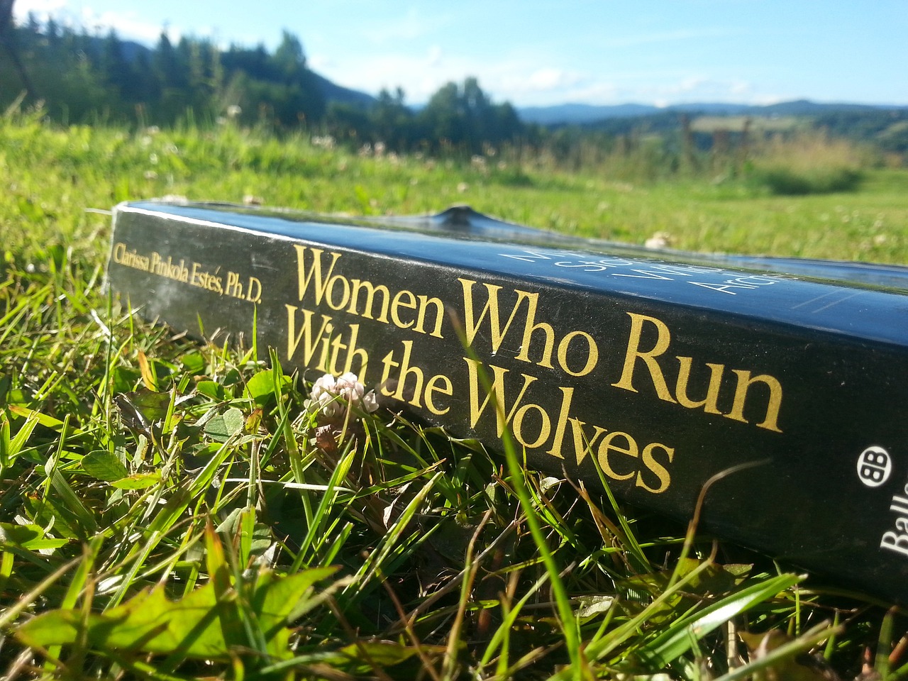 The art of resilience: Women bouncing back with empowerment
