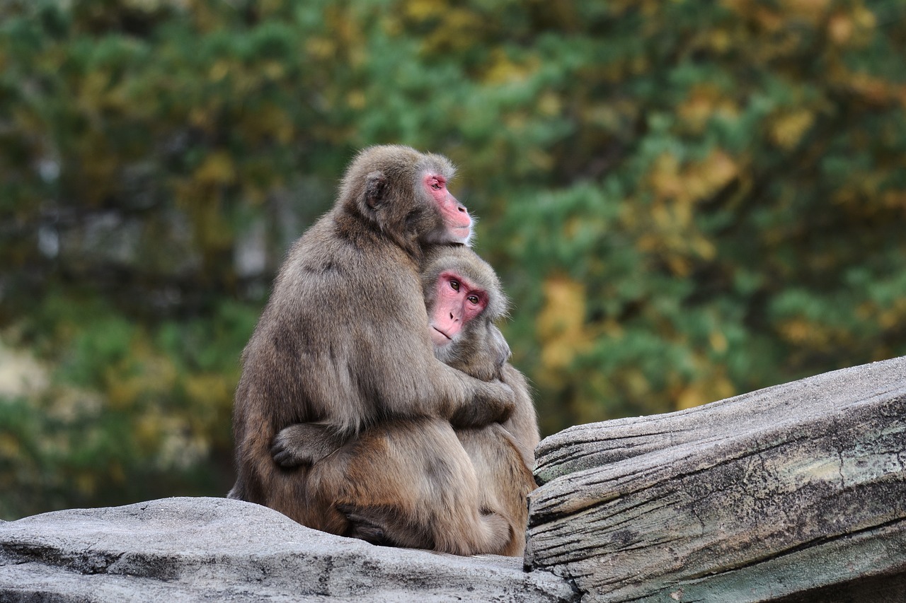 The Truth About Emotional Eating: How to Break the Cycle The Truth About Emotional Eating: How to Break the Cycle
