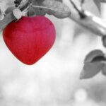 Embracing your inner boss babe: Taking charge and leading with empowerment