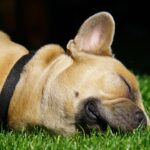 The Role of Sleep in Weight Loss: Why It’s Crucial for Your Success The Role of Sleep in Weight Loss: Why It’s Crucial for Your Success